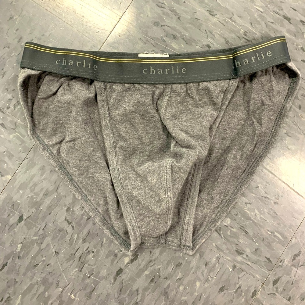 Charlie by Matthew Zink gray sport brief